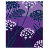 Flowers, Plants, Blossoms - Purple