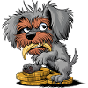 Funny Scruffy Dog with Banana