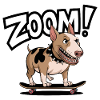 Bull terrier