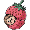 Cute Hedgehog Inside a Strawberry