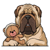 English Mastiff