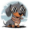 Cool Dachshund Dog