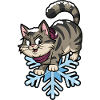 Winter Siberian Snow Cat