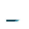 Veterinary Technician in Training Profession Gift