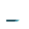 Physical Therapist Assistant in Training Profession
