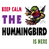 Keep calm - the hummingbird is here