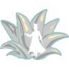 magicien magicien magie