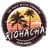 Riohacha Palm Trees Beach Design