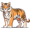 Tiger - Animal Design