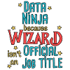Assistant Data Ninja