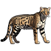 Cheetah - Cute Wildcat Motifs