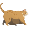 Chonker - Fat Cat Meme