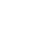 Cavalier et cheval