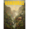 Honduras Jungle Origin Gift