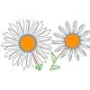 Sonnenblumen
