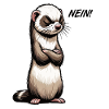 Nein Frettchen Frettchenhalter Frettchenbesitzer