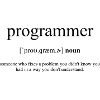 Programmer (Programmierer) Definition Dictionary