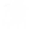Puppetry Puppeteer Puppet Puppets