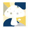 Vegetarian Mycology Edible