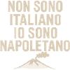 I'm not Italian, I'm Neapolitan