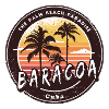 Baracoa Palm Trees and Beach Design