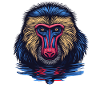 Mandrill Affe im Spiegel