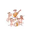 Das Quintett - Erdmännchen Orchester
