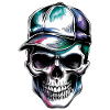 Skull with cap