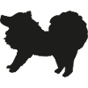Spitz schwarz