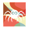 Tarantula Spider Weaving