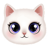 Kitten 😻