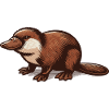 Platypus