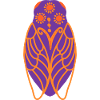 Sunny cicada