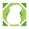 Guinea Pig Fur
