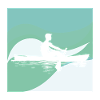 Rowers Rowing Rowing Techniques
