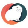 Rodent Pet Care Pet