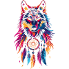 Wolf with dream catcher