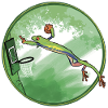 Tree frog slam dunk