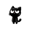 Genervte schwarze Katze – Blick sagt alles