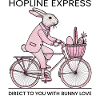 Easter HOPLINE EXPRESS Retro Bunny