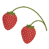 strawberries
