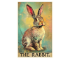 Hasen Hase