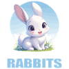 Bunny Bunny