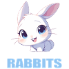 Lapin Lapin