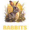 Lapin Lapin