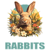 Lapin Lapin