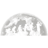 Flautist Evolution Flute