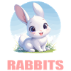 Bunny Bunny