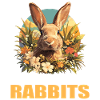 Bunny Bunny