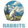 Lapin Lapin